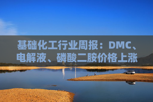 基础化工行业周报：DMC、电解液、磷酸二胺价格上涨 关注反内卷和铬盐