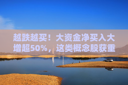 越跌越买!大资金净买入大增超50%,这类概念股获重点关注