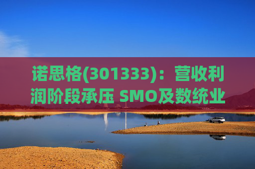 诺思格(301333)：营收利润阶段承压 SMO及数统业务保持稳健增长