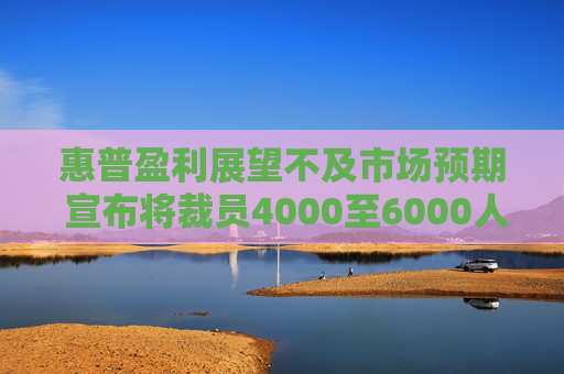 惠普盈利展望不及市场预期 宣布将裁员4000至6000人