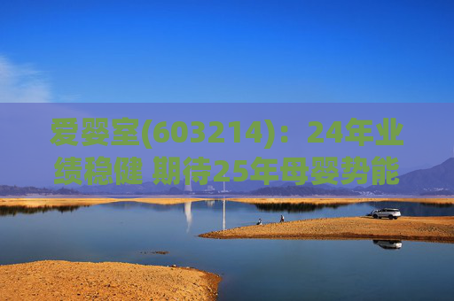 爱婴室(603214)：24年业绩稳健 期待25年母婴势能及万代门店加速