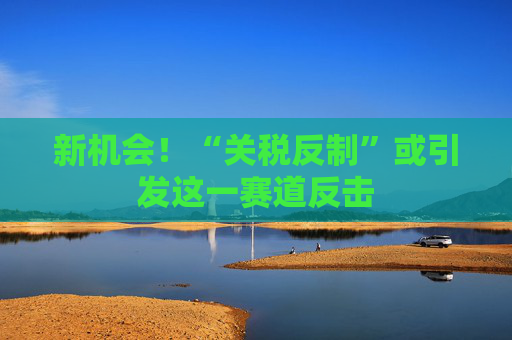 新机会！“关税反制”或引发这一赛道反击