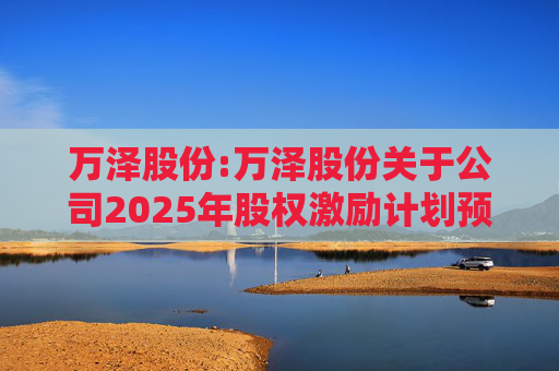 万泽股份:万泽股份关于公司2025年股权激励计划预留授予限制性股票登记完成的公告