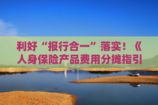 利好“报行合一”落实!《人身保险产品费用分摊指引》出炉