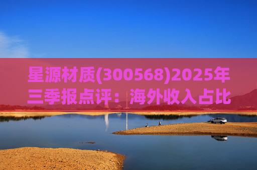 星源材质(300568)2025年三季报点评:海外收入占比提升 盈利水平改善