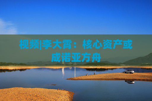视频|李大霄：核心资产或成诺亚方舟  第1张