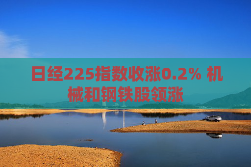 日经225指数收涨0.2% 机械和钢铁股领涨