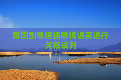 泰国副总理据悉将访美进行关税谈判