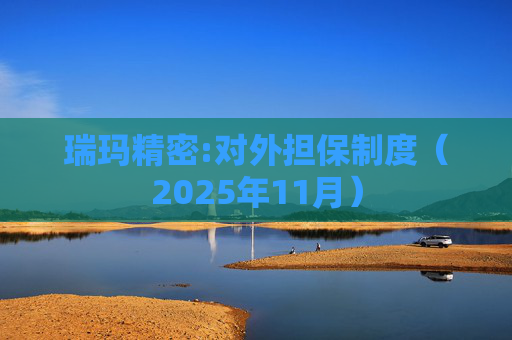 瑞玛精密:对外担保制度（2025年11月）