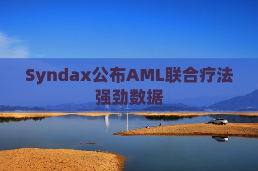 Syndax公布AML联合疗法强劲数据