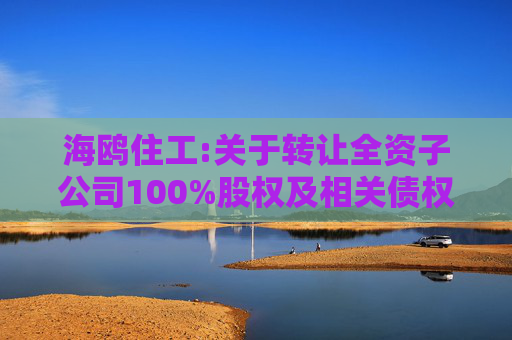 海鸥住工:关于转让全资子公司100%股权及相关债权暨债务豁免的公告