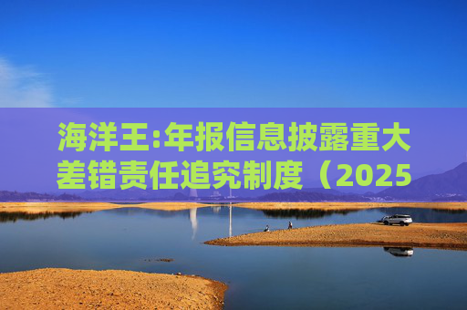 海洋王:年报信息披露重大差错责任追究制度(2025年12月)