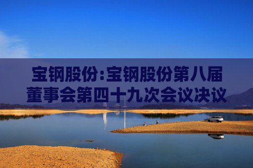 宝钢股份:宝钢股份第八届董事会第四十九次会议决议公告  第1张
