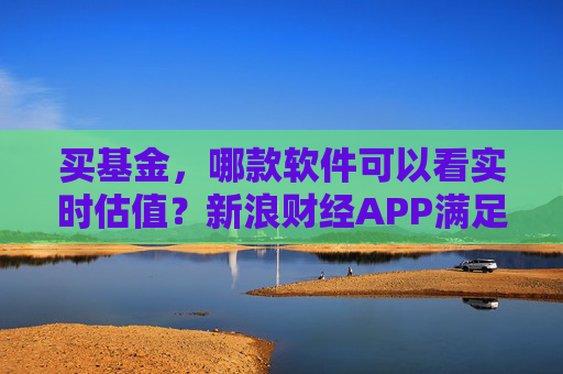 买基金，哪款软件可以看实时估值？新浪财经APP满足你的投资需求