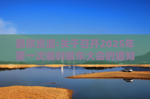 鹏欣资源:关于召开2025年第一次临时股东大会的通知