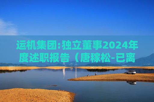 运机集团:独立董事2024年度述职报告（唐稼松-已离任）