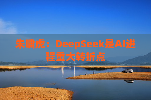 朱啸虎:DeepSeek是AI进程重大转折点