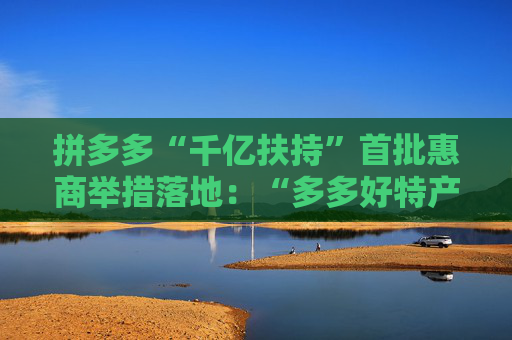 拼多多“千亿扶持”首批惠商举措落地：“多多好特产”等专项启动  第1张