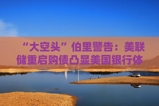 “大空头”伯里警告：美联储重启购债凸显美国银行体系脆弱