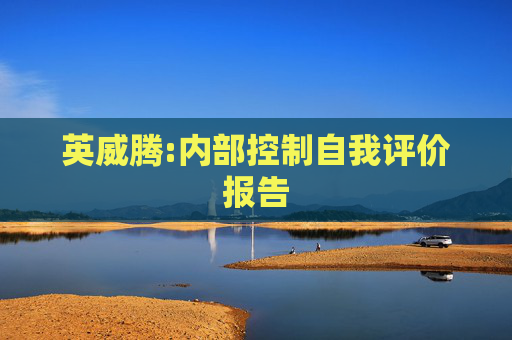 英威腾:内部控制自我评价报告