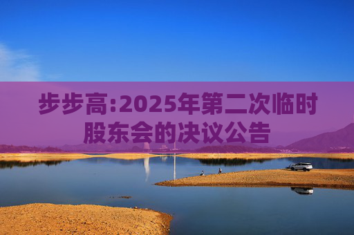 步步高:2025年第二次临时股东会的决议公告