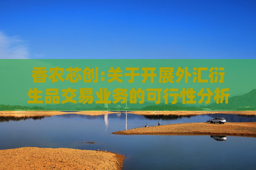 香农芯创:关于开展外汇衍生品交易业务的可行性分析报告  第1张