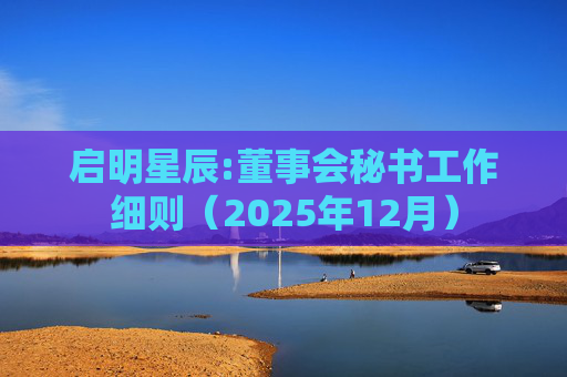 启明星辰:董事会秘书工作细则(2025年12月)