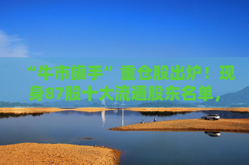 “牛市旗手”重仓股出炉！现身87股十大流通股东名单，新进46股  第1张