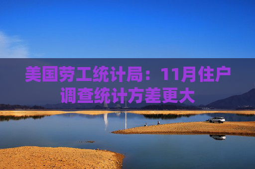 美国劳工统计局：11月住户调查统计方差更大