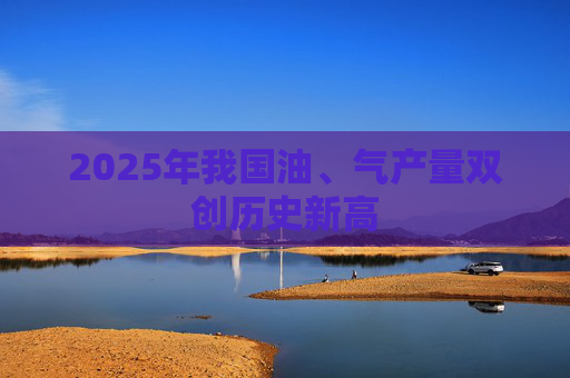 2025年我国油、气产量双创历史新高