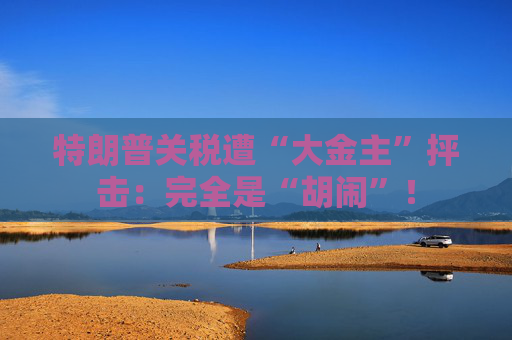 特朗普关税遭“大金主”抨击：完全是“胡闹”！  第1张