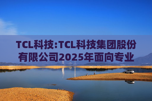 TCL科技:TCL科技集团股份有限公司2025年面向专业投资者公开发行科技创新公司债券（数字经济）（第一期）发行公告