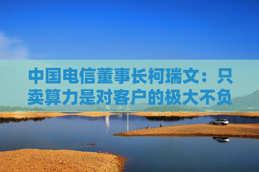 中国电信董事长柯瑞文：只卖算力是对客户的极大不负责