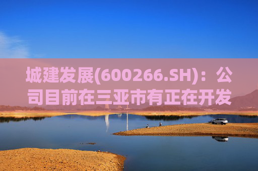 城建发展(600266.SH)：公司目前在三亚市有正在开发的房地产项目 同时运营一家度假酒店
