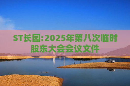 ST长园:2025年第八次临时股东大会会议文件