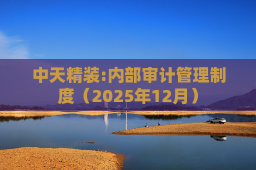 中天精装:内部审计管理制度（2025年12月）