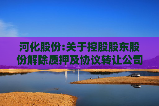 河化股份:关于控股股东股份解除质押及协议转让公司股份过户完成暨公司控制权发生变更的公告
