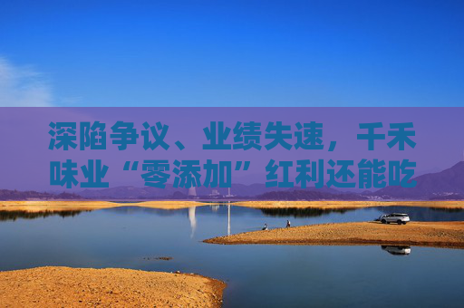 深陷争议、业绩失速，千禾味业“零添加”红利还能吃多久