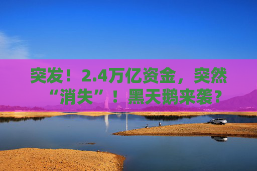 突发！2.4万亿资金，突然“消失”！黑天鹅来袭？