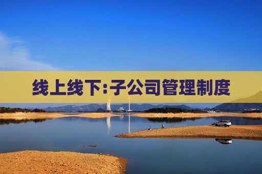 线上线下:子公司管理制度
