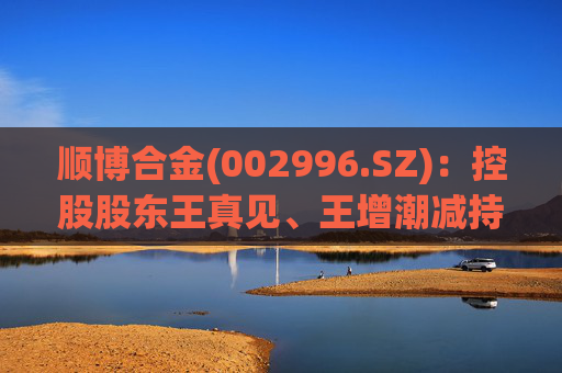 顺博合金(002996.SZ)：控股股东王真见、王增潮减持1371.88万股公司股份  第1张