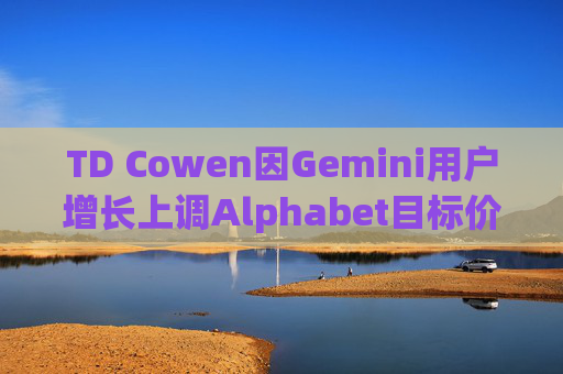 TD Cowen因Gemini用户增长上调Alphabet目标价