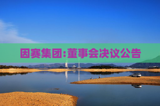 因赛集团:董事会决议公告