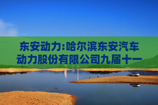 东安动力:哈尔滨东安汽车动力股份有限公司九届十一董事会会议决议公告