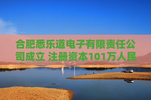 合肥悉乐道电子有限责任公司成立 注册资本101万人民币