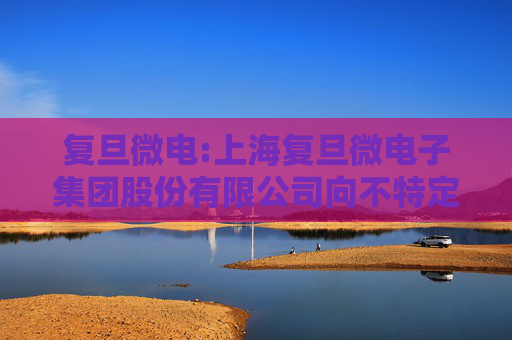 复旦微电:上海复旦微电子集团股份有限公司向不特定对象发行可转换公司债券证券募集说明书（注册稿之2024年度财务数据更新版）