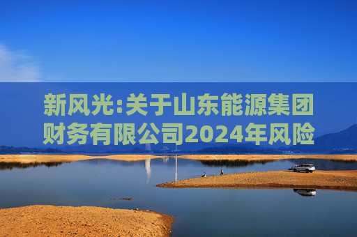 新风光:关于山东能源集团财务有限公司2024年风险评估报告  第1张