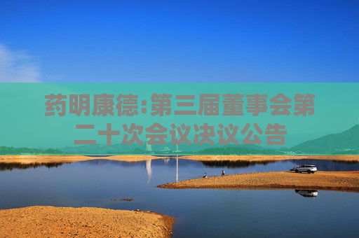 药明康德:第三届董事会第二十次会议决议公告