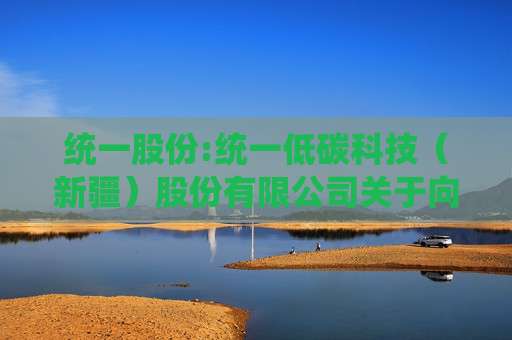 统一股份:统一低碳科技（新疆）股份有限公司关于向特定对象发行限售股上市流通公告