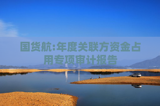 国货航:年度关联方资金占用专项审计报告